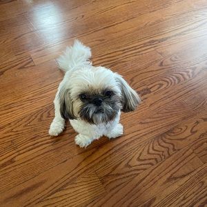 Meet your Posher, Allison